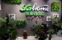 (lin)Ѳ꣺K^(q)SGhome