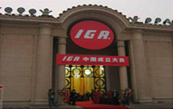 200511ЇIGAڱ